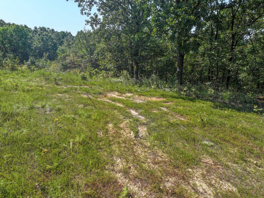 Image for 25.62 +/- Ac, off County Road 535, Jackson, MO 63755, MLS #26060044