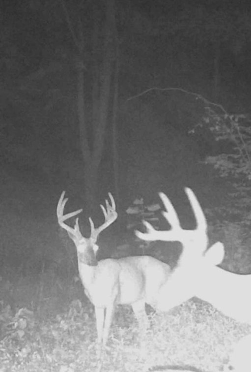 Image for 25.62 +/- Ac, off County Road 535, Jackson, MO 63755, MLS #26060044