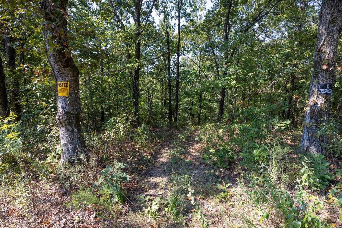 Image for 25.62 +/- Ac, off County Road 535, Jackson, MO 63755, MLS #26060044