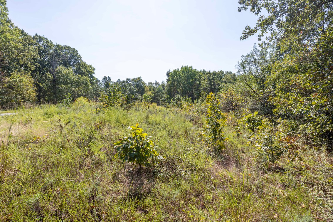 Image for 25.62 +/- Ac, off County Road 535, Jackson, MO 63755, MLS #26060044