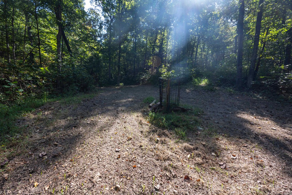 Image for 25.62 +/- Ac, off County Road 535, Jackson, MO 63755, MLS #26060044