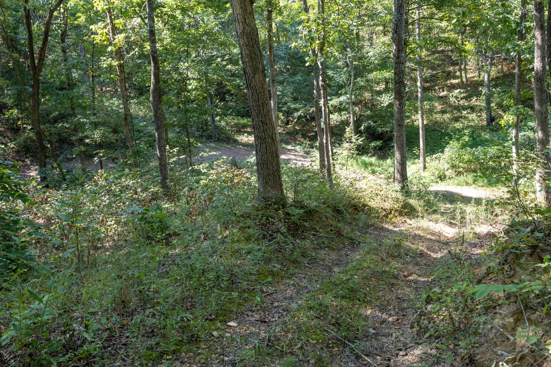 Image for 25.62 +/- Ac, off County Road 535, Jackson, MO 63755, MLS #26060044