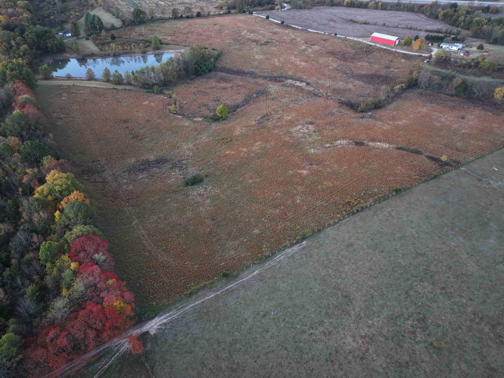 Image for 34.55 Acres +/- County Road 520, Oak Ridge, MO 63769, MLS 24068346