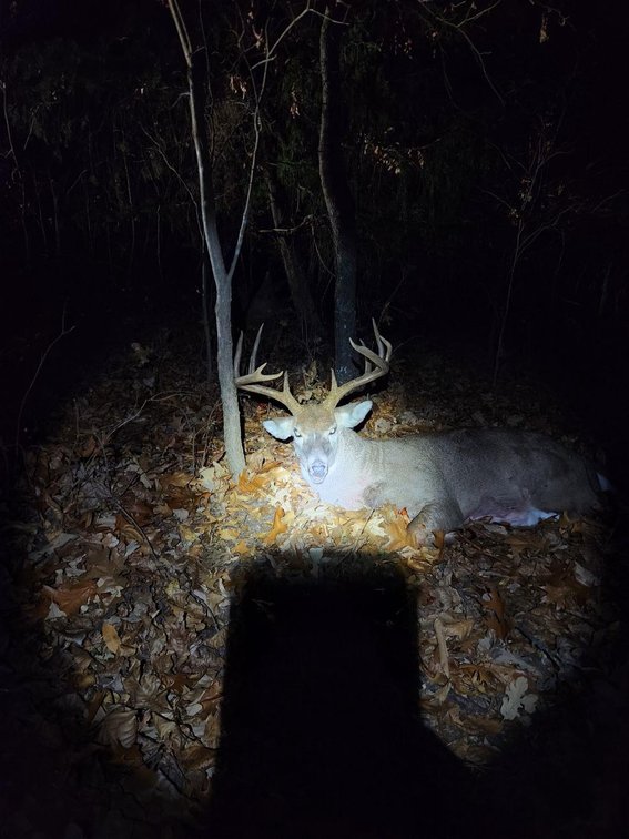 Image for Perry County, Hwy BB