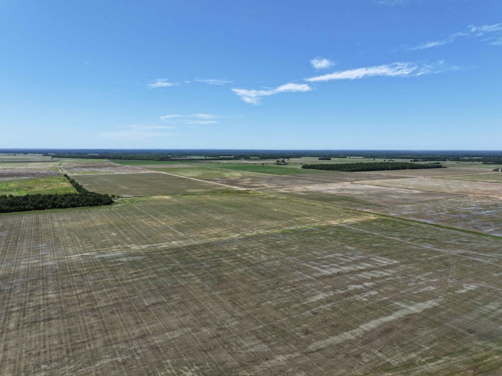 Image for 368 Acres m/l, County Road W-4, Naylor, MO 63953, MLS #25003026