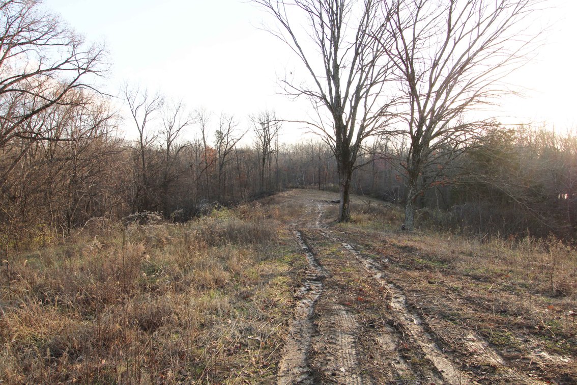 Image for 31.6 Acres M/L, 4161 Hopper Cape Girardeau MO 63701, MLS #25000991