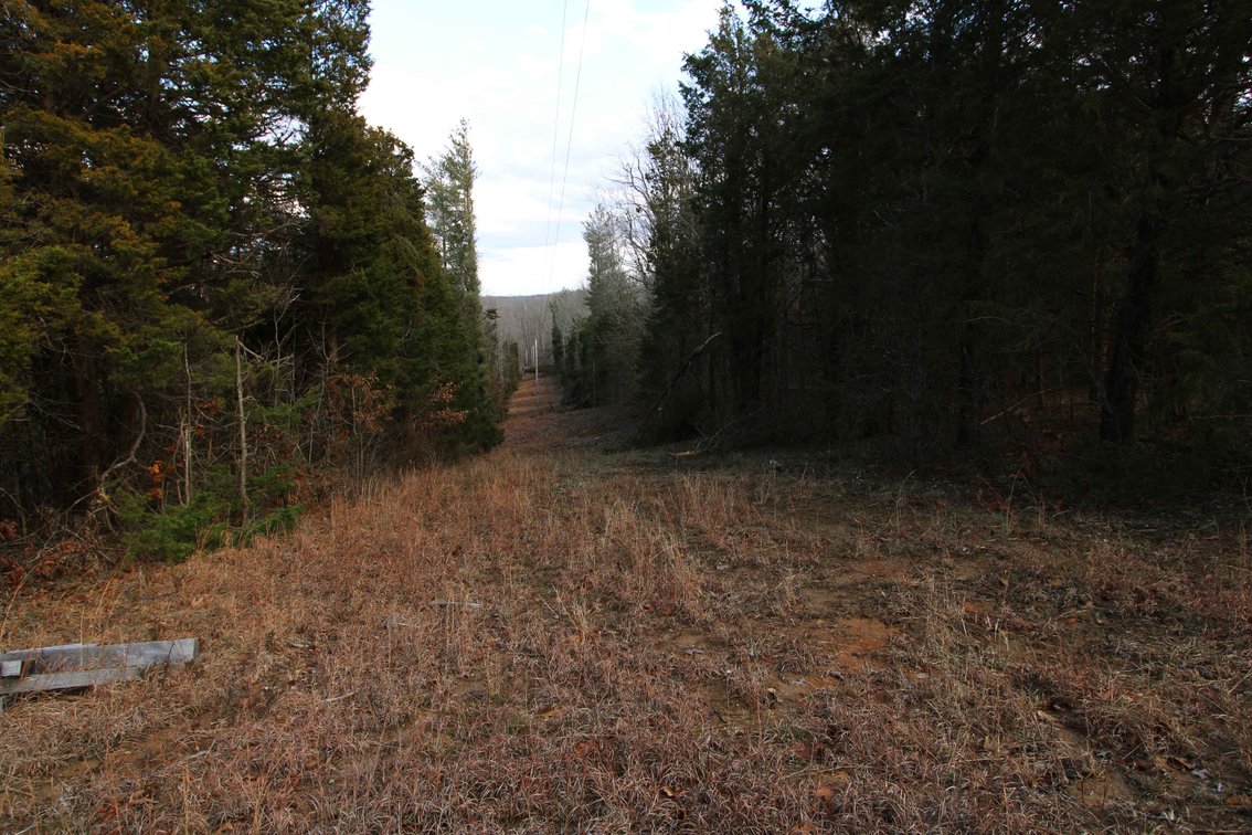 Image for 9.17 Acres M/L, Highway N, Perryville, MO 63775, MLS #25005514