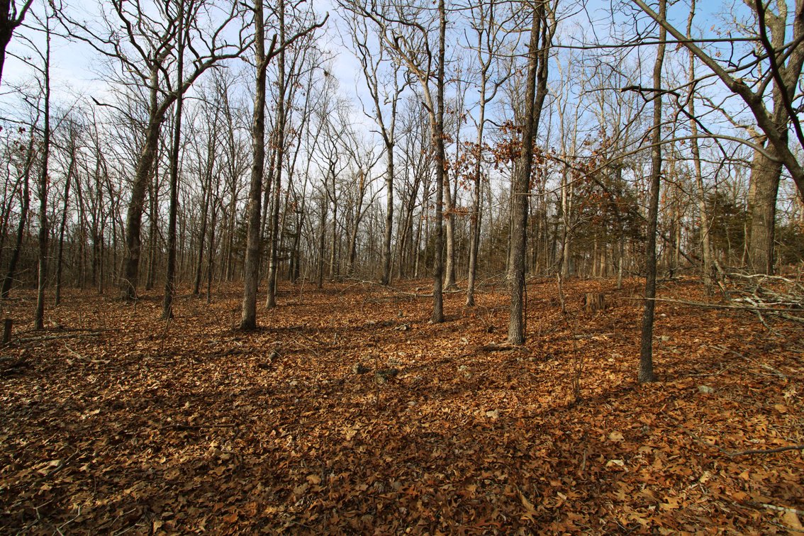 Image for 6.9 Acres +/-, Lot 27 Hickory Hollow Estates PCR 860, St Mary, MO 63673, MLS#25007743