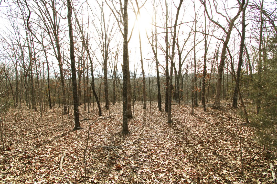 Image for 6.9 Acres +/-, Lot 27 Hickory Hollow Estates PCR 860, St Mary, MO 63673, MLS#25007743