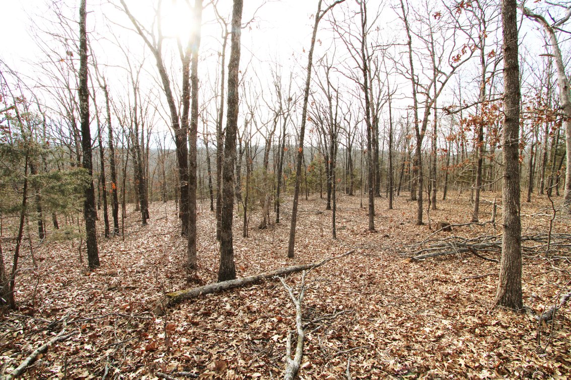 Image for 6.9 Acres +/-, Lot 27 Hickory Hollow Estates PCR 860, St Mary, MO 63673, MLS#25007743