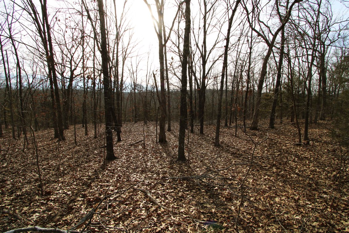 Image for 6.9 Acres +/-, Lot 27 Hickory Hollow Estates PCR 860, St Mary, MO 63673, MLS#25007743