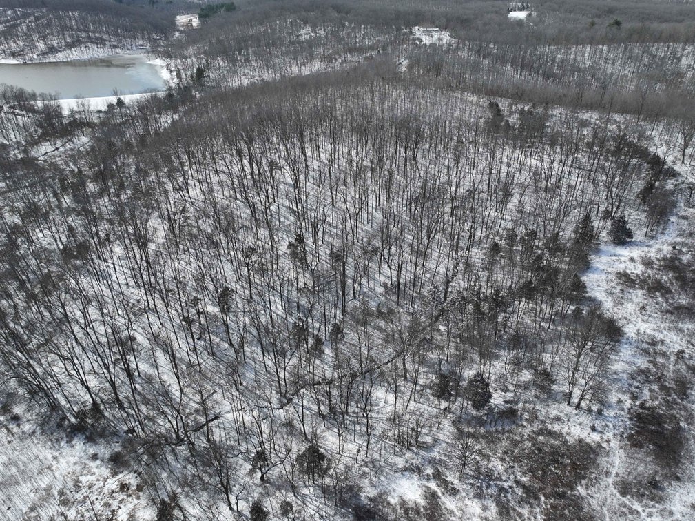 Image for 70 Acres+\- BCR 710, Zalma MO 63787, MLS 25009340