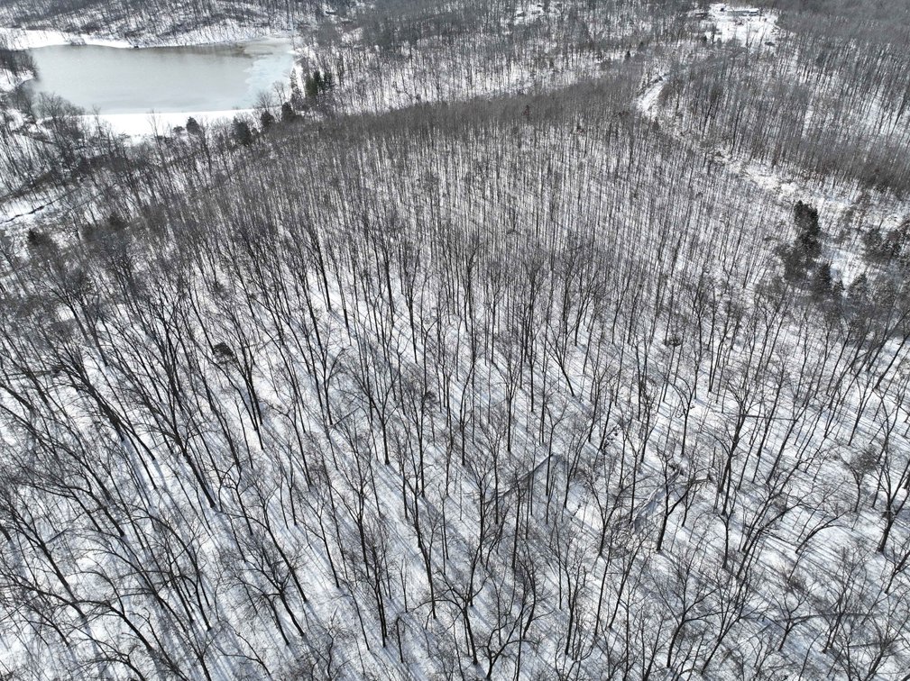 Image for 70 Acres+\- BCR 710, Zalma MO 63787, MLS 25009340