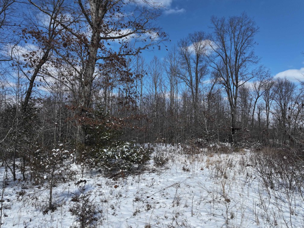 Image for 70 Acres+\- BCR 710, Zalma MO 63787, MLS 25009340