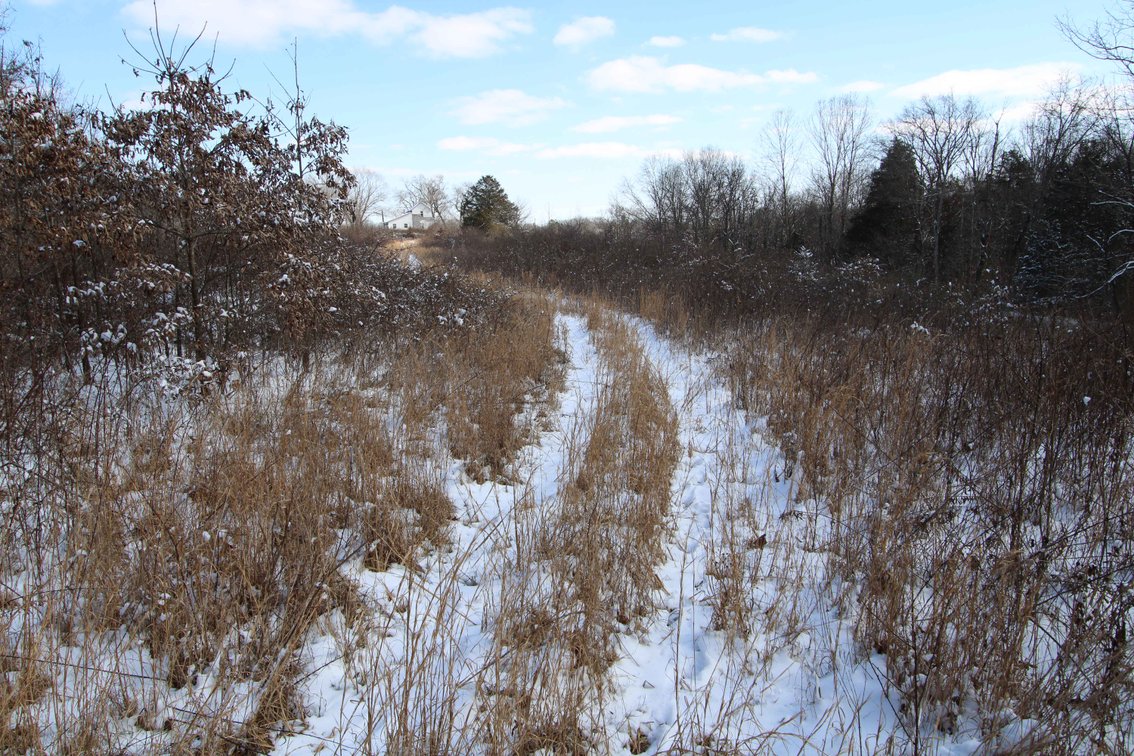 Image for 70 Acres+\- BCR 710, Zalma MO 63787, MLS 25009340