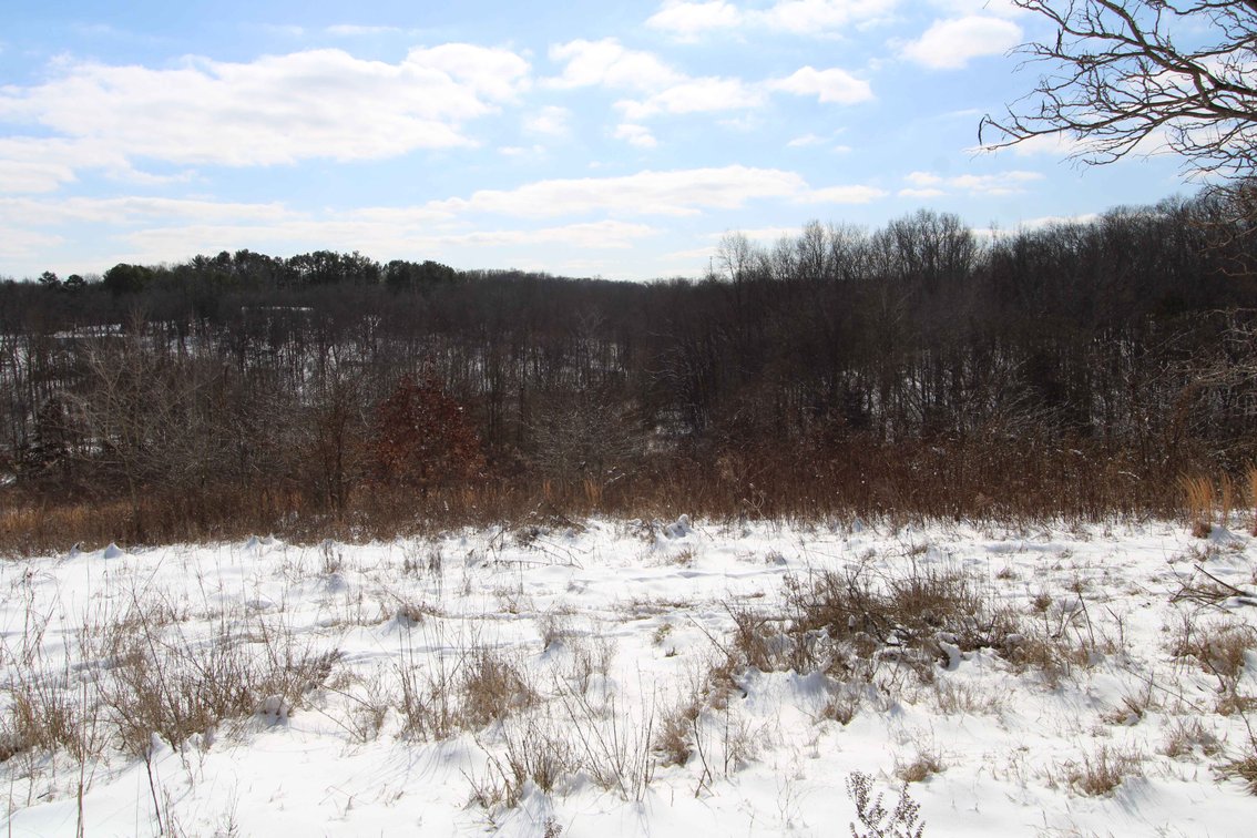 Image for 70 Acres+\- BCR 710, Zalma MO 63787, MLS 25009340