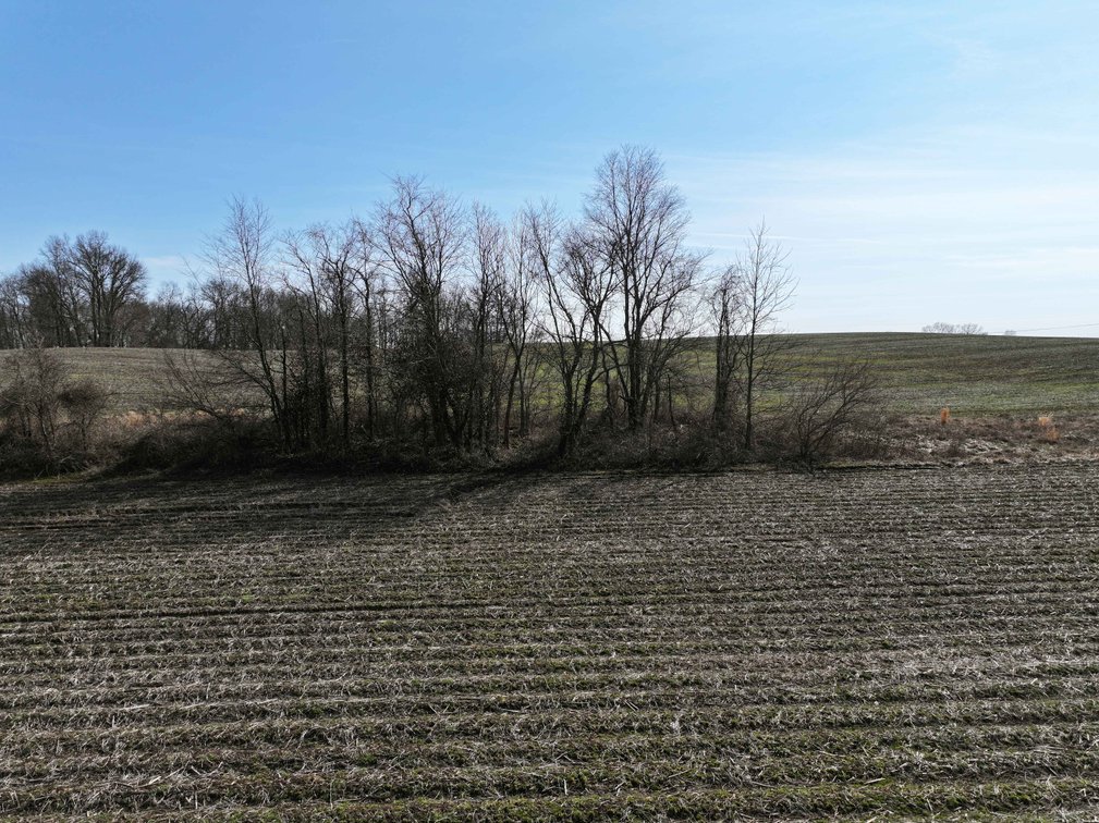 Image for Cape Girardeau County, 5709 Hwy 25 Gordonville, MO 63701, 126.77 Acres M/L