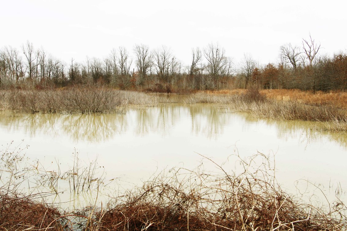 Image for 163.02 Acres +/-, County Line Road 832, Sikeston, MO 63801, MLS #25014302