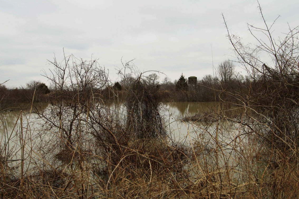 Image for 163.02 Acres +/-, County Line Road 832, Sikeston, MO 63801, MLS #25014302