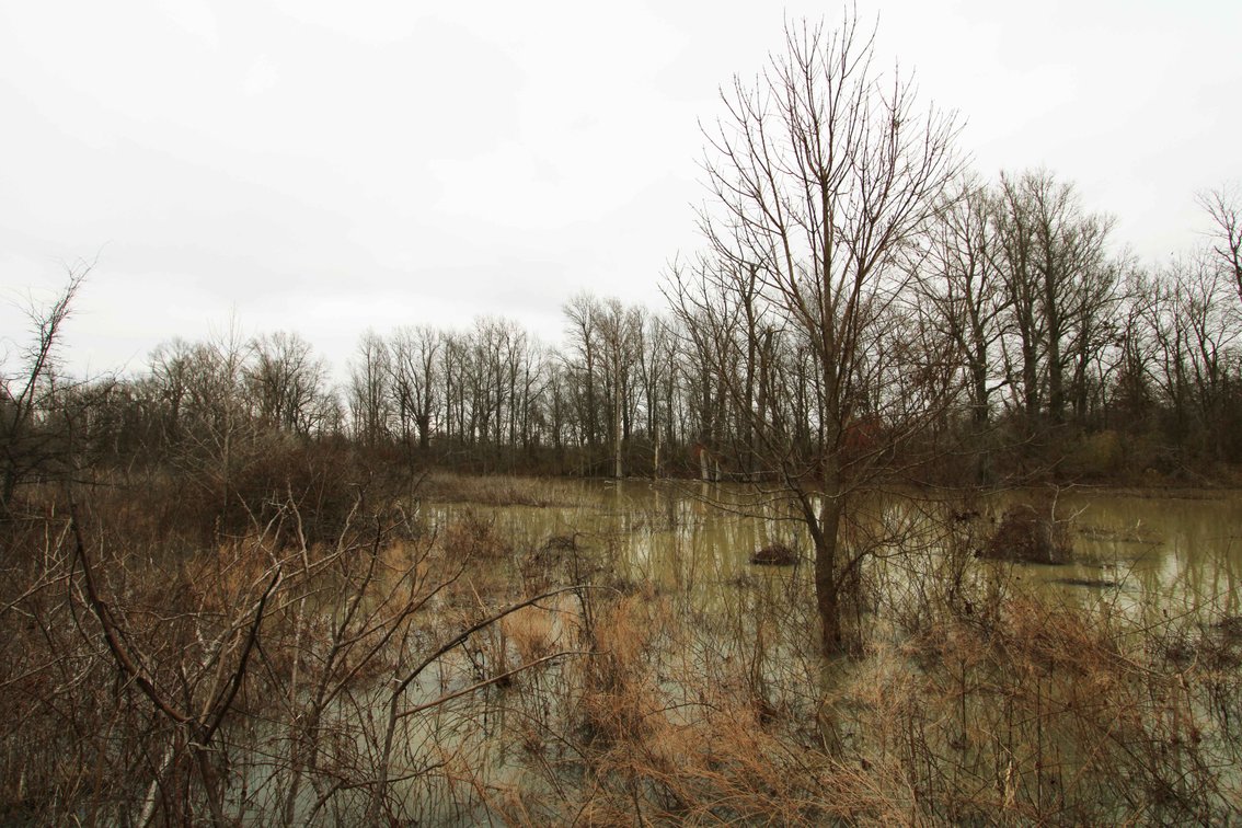 Image for 163.02 Acres +/-, County Line Road 832, Sikeston, MO 63801, MLS #25014302