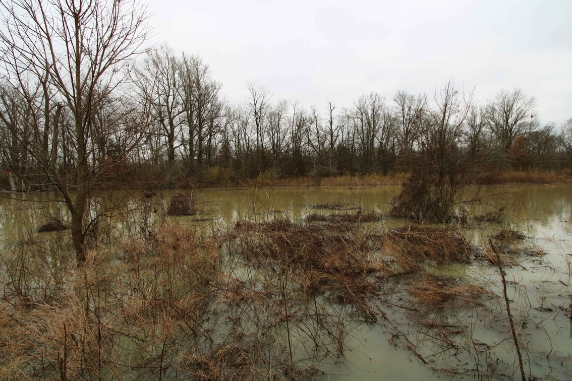 Image for 163.02 Acres +/-, County Line Road 832, Sikeston, MO 63801, MLS #25014302