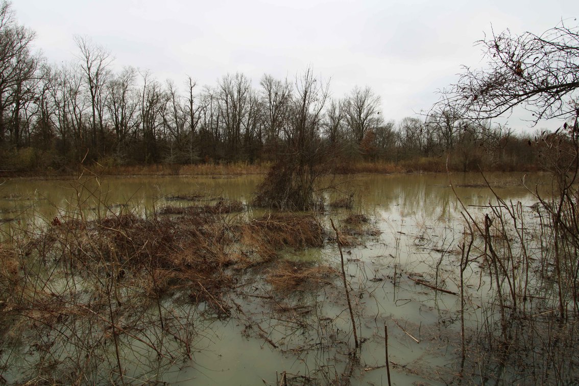 Image for 163.02 Acres +/-, County Line Road 832, Sikeston, MO 63801, MLS #25014302