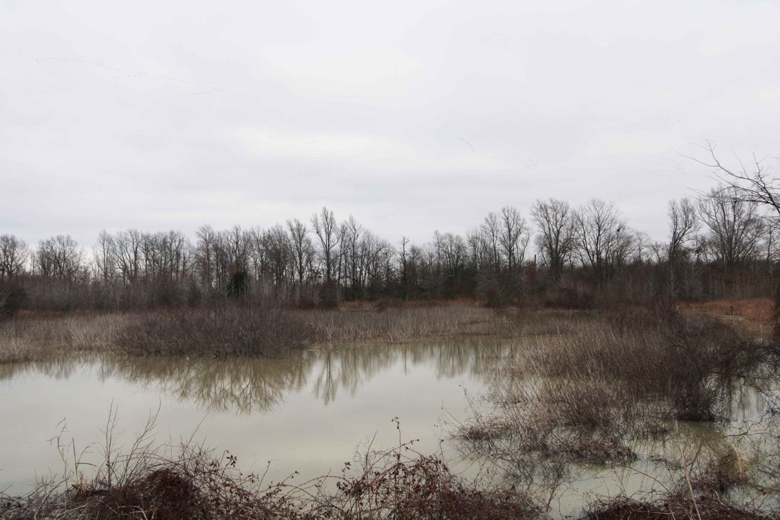 Image for 163.02 Acres +/-, County Line Road 832, Sikeston, MO 63801, MLS #25014302