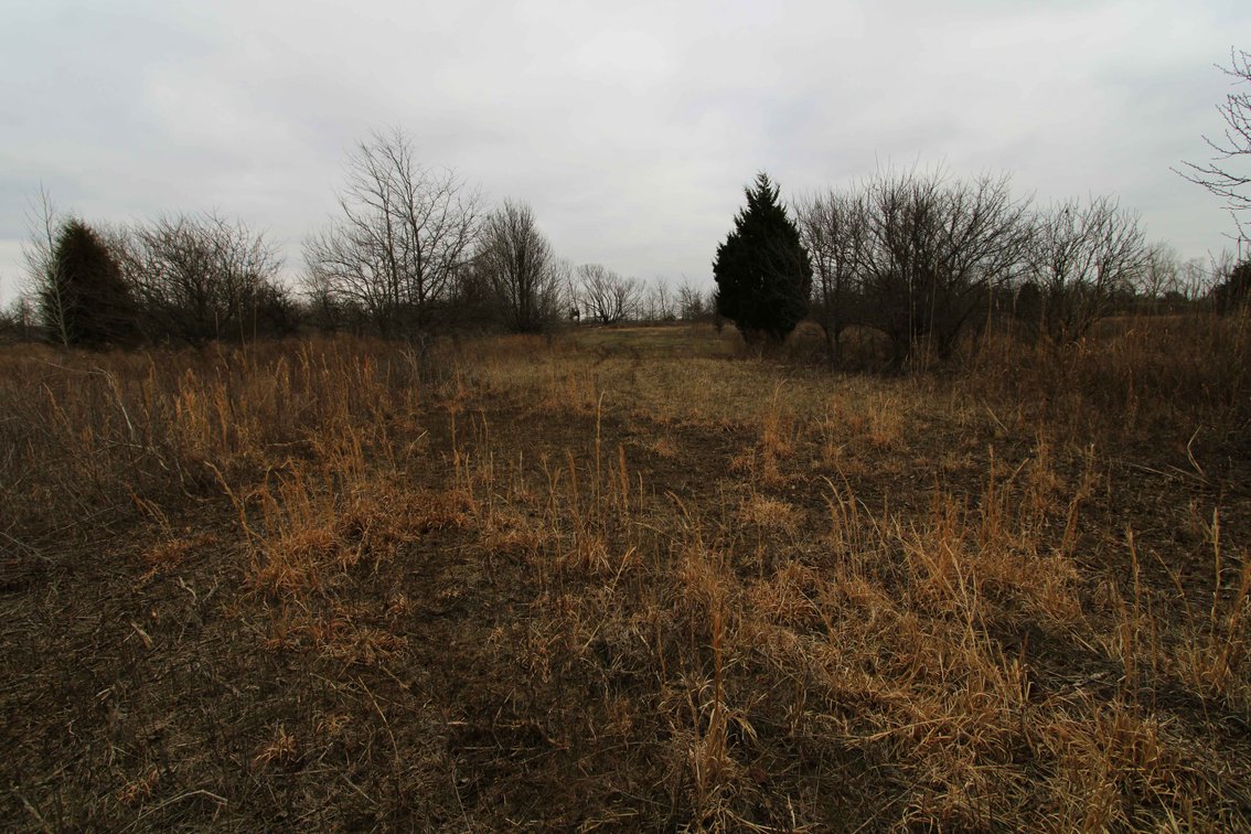 Image for 163.02 Acres +/-, County Line Road 832, Sikeston, MO 63801, MLS #25014302