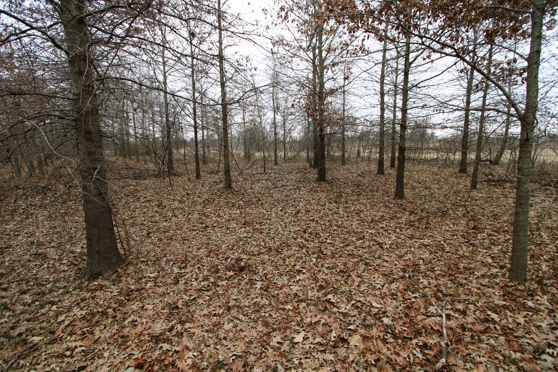 Image for 163.02 Acres +/-, County Line Road 832, Sikeston, MO 63801, MLS #25014302