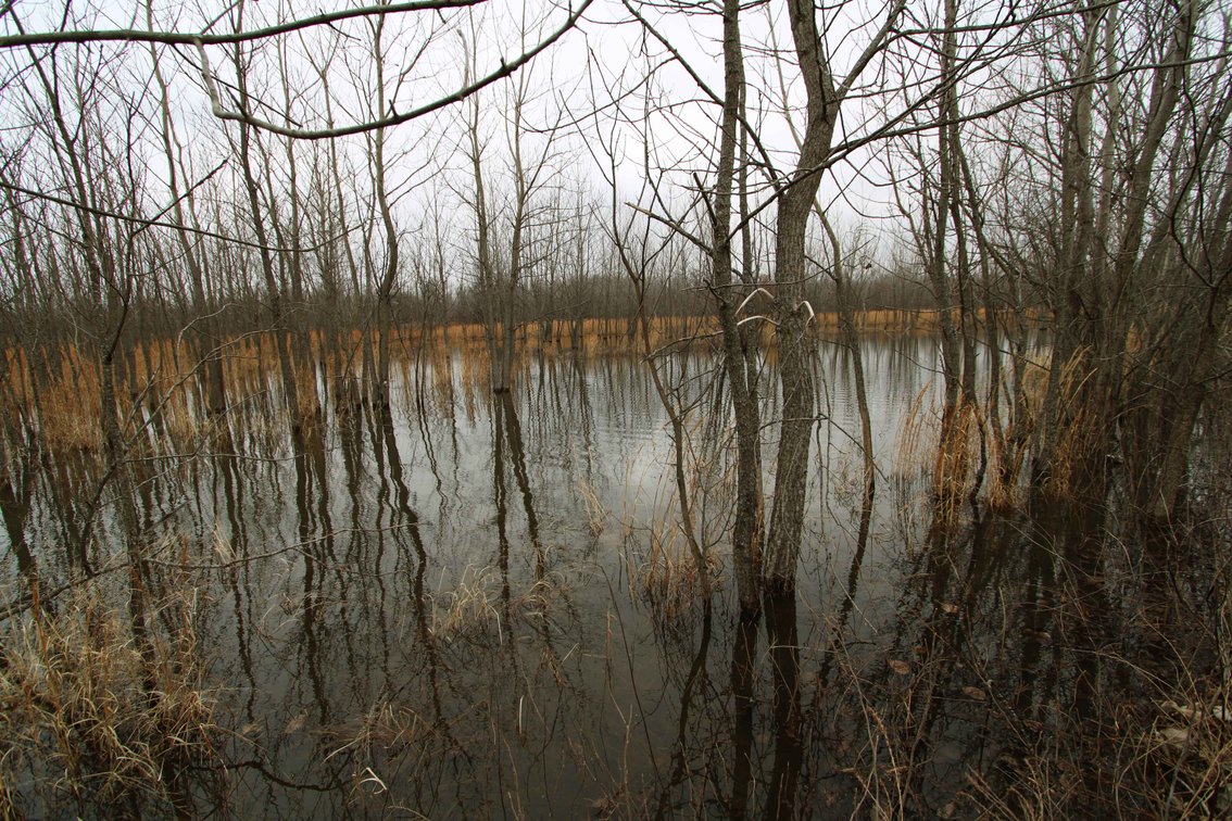 Image for 163.02 Acres +/-, County Line Road 832, Sikeston, MO 63801, MLS #25014302
