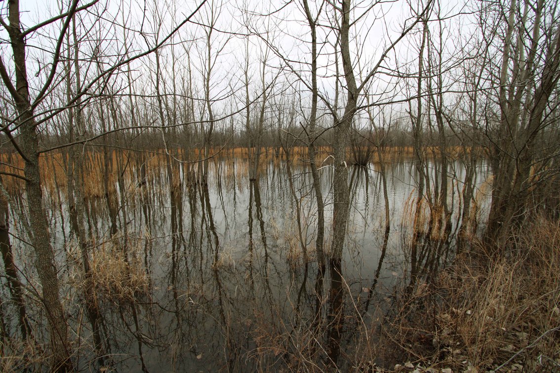 Image for 163.02 Acres +/-, County Line Road 832, Sikeston, MO 63801, MLS #25014302