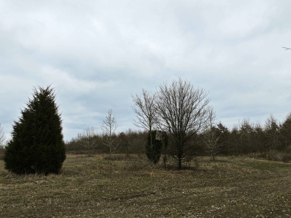 Image for 163.02 Acres +/-, County Line Road 832, Sikeston, MO 63801, MLS #25014302