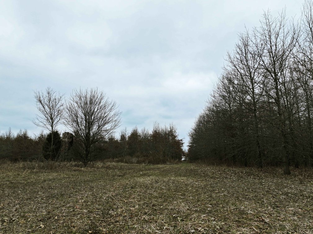 Image for 163.02 Acres +/-, County Line Road 832, Sikeston, MO 63801, MLS #25014302