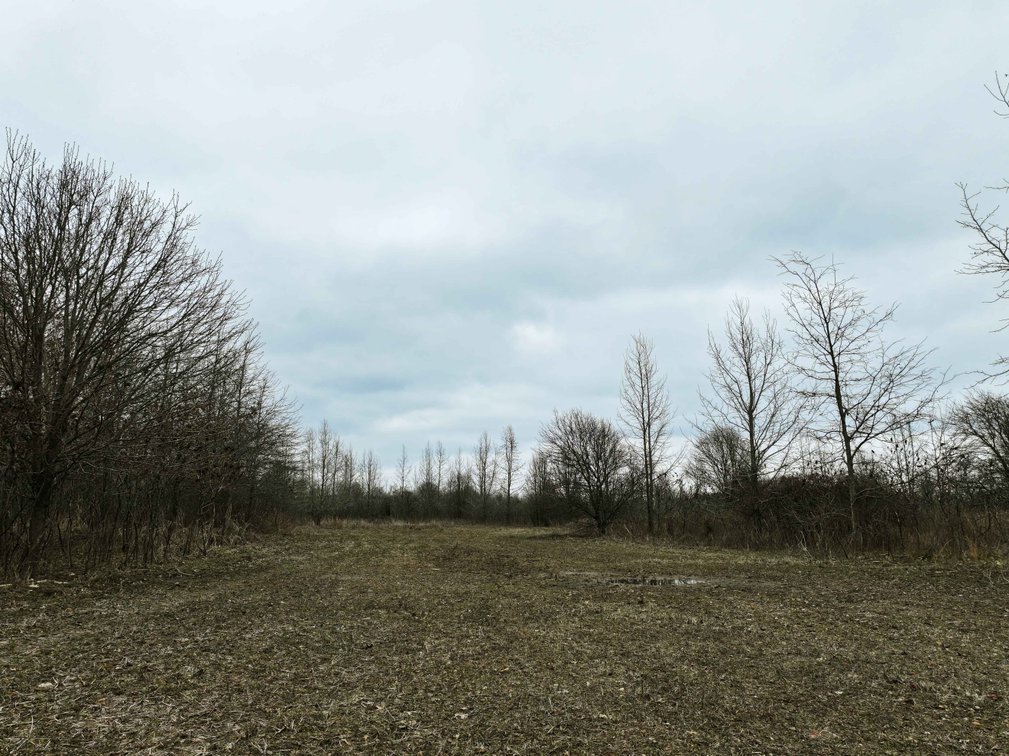 Image for 163.02 Acres +/-, County Line Road 832, Sikeston, MO 63801, MLS #25014302