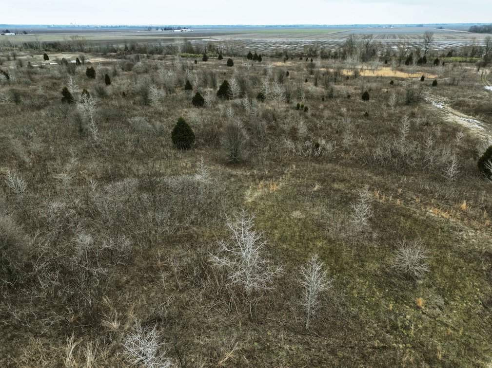 Image for 163.02 Acres +/-, County Line Road 832, Sikeston, MO 63801, MLS #25014302