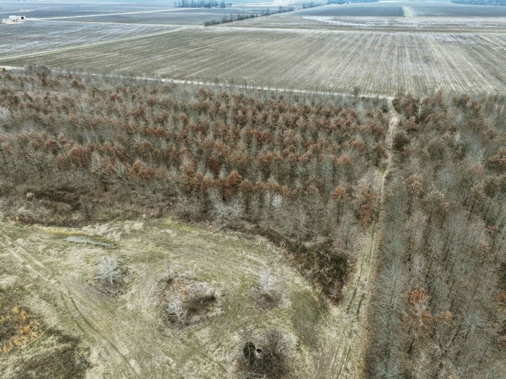 Image for 163.02 Acres +/-, County Line Road 832, Sikeston, MO 63801, MLS #25014302