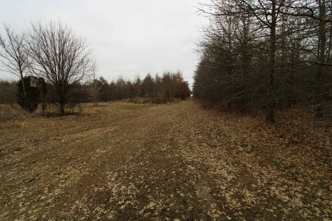 Image for 163.02 Acres +/-, County Line Road 832, Sikeston, MO 63801, MLS #25014302