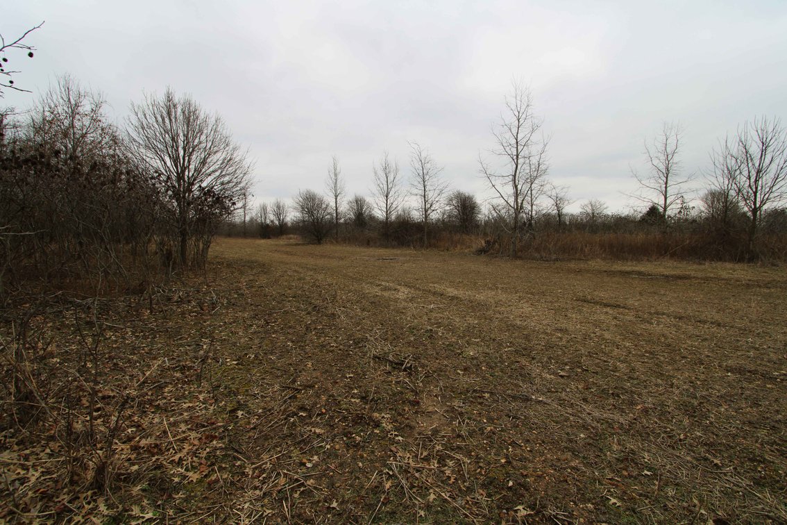 Image for 163.02 Acres +/-, County Line Road 832, Sikeston, MO 63801, MLS #25014302