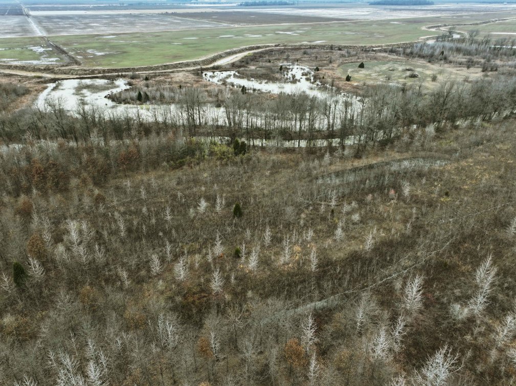 Image for 163.02 Acres +/-, County Line Road 832, Sikeston, MO 63801, MLS #25014302