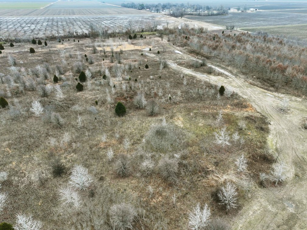 Image for 163.02 Acres +/-, County Line Road 832, Sikeston, MO 63801, MLS #25014302