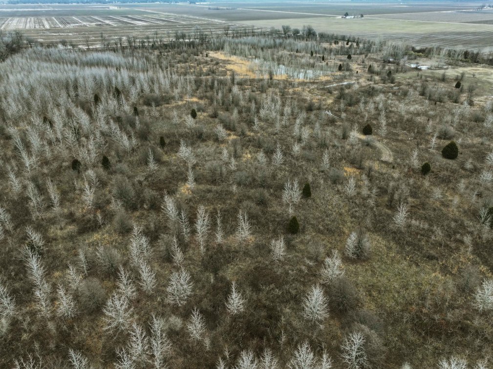 Image for 163.02 Acres +/-, County Line Road 832, Sikeston, MO 63801, MLS #25014302