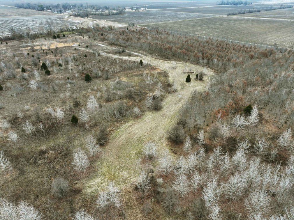 Image for 163.02 Acres +/-, County Line Road 832, Sikeston, MO 63801, MLS #25014302