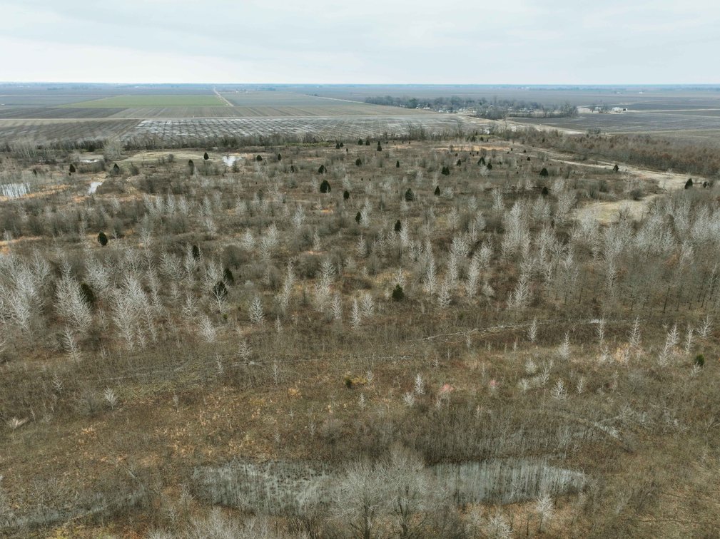 Image for 163.02 Acres +/-, County Line Road 832, Sikeston, MO 63801, MLS #25014302