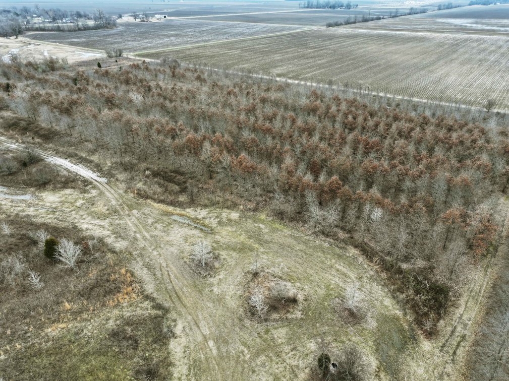 Image for 163.02 Acres +/-, County Line Road 832, Sikeston, MO 63801, MLS #25014302
