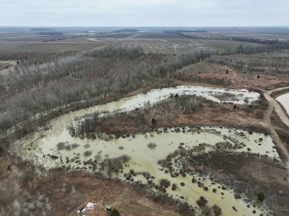 Image for 163.02 Acres +/-, County Line Road 832, Sikeston, MO 63801, MLS #25014302