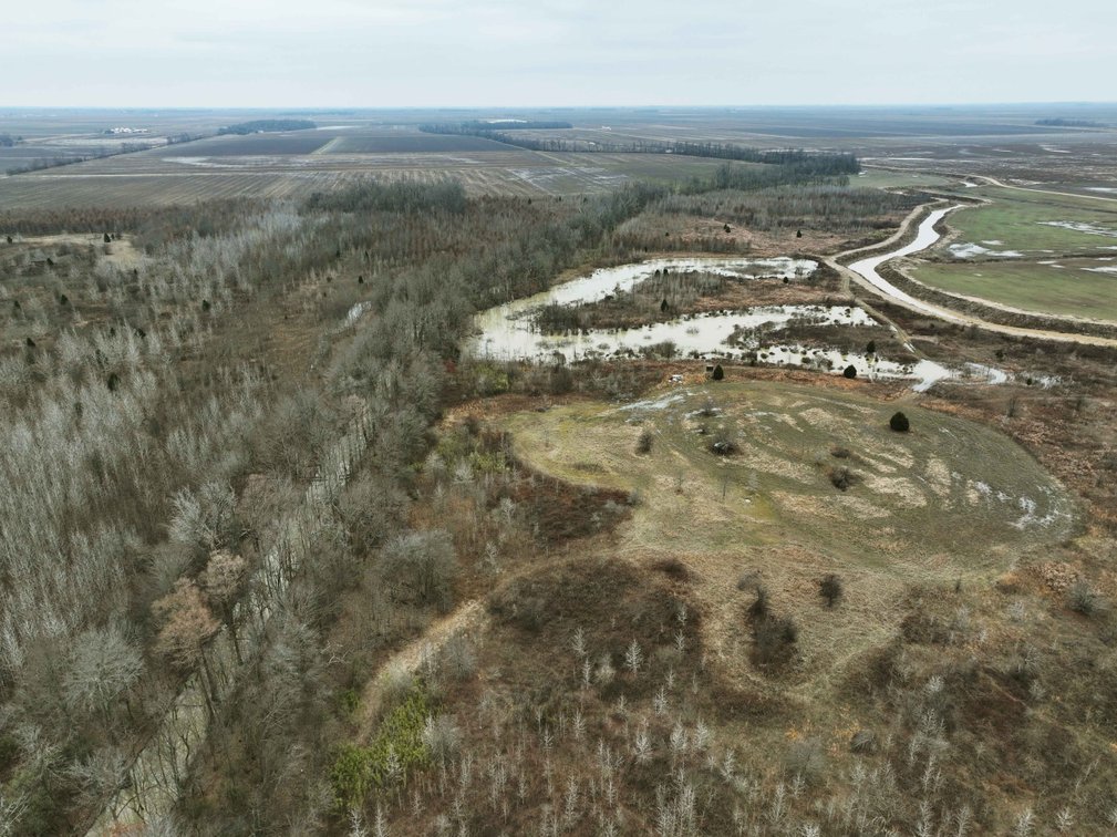 Image for 163.02 Acres +/-, County Line Road 832, Sikeston, MO 63801, MLS #25014302