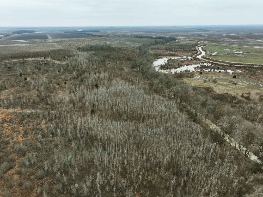 Image for 163.02 Acres +/-, County Line Road 832, Sikeston, MO 63801, MLS #25014302