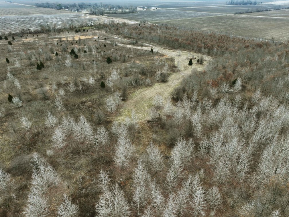 Image for 163.02 Acres +/-, County Line Road 832, Sikeston, MO 63801, MLS #25014302