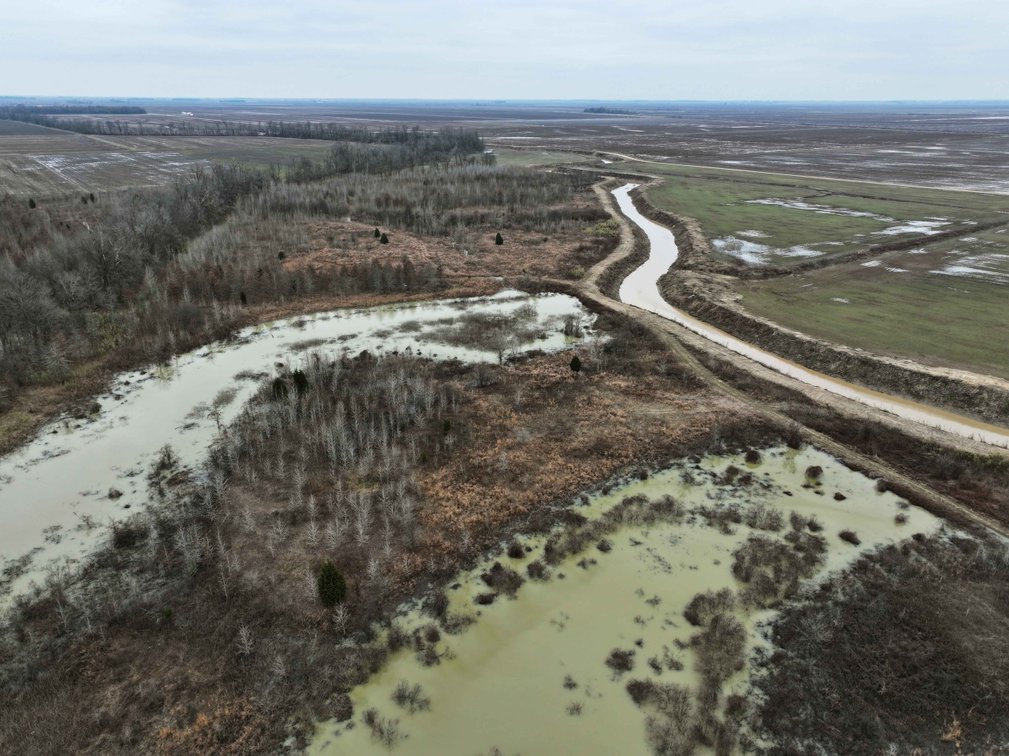 Image for 163.02 Acres +/-, County Line Road 832, Sikeston, MO 63801, MLS #25014302