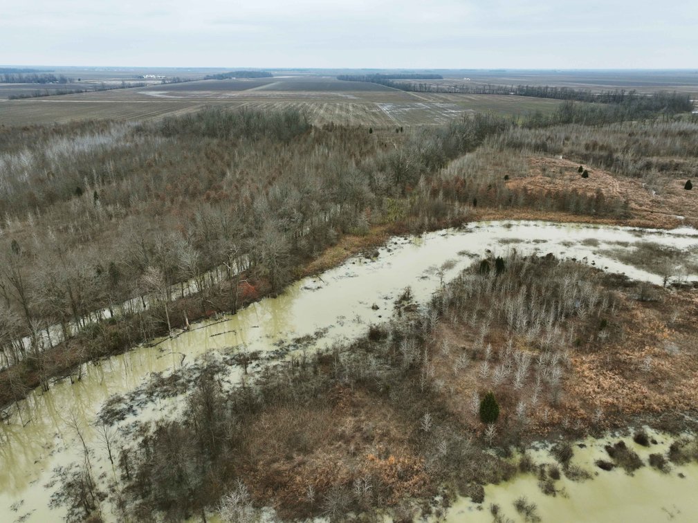 Image for 163.02 Acres +/-, County Line Road 832, Sikeston, MO 63801, MLS #25014302